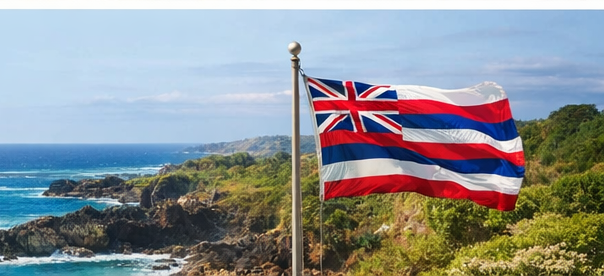 Hawaii coastline and flag representing the Proposed Bill section.